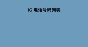 IG 电话号码列表