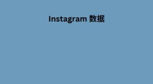 Instagram 数据