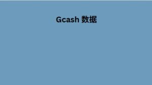 Gcash 数据